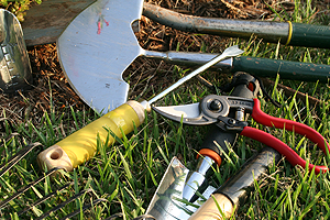 kertgondoz�s Balatonszemes